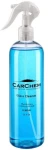 CarChem Glass Cleaner Profesjonalny Płyn do mycia szyb samochodowych